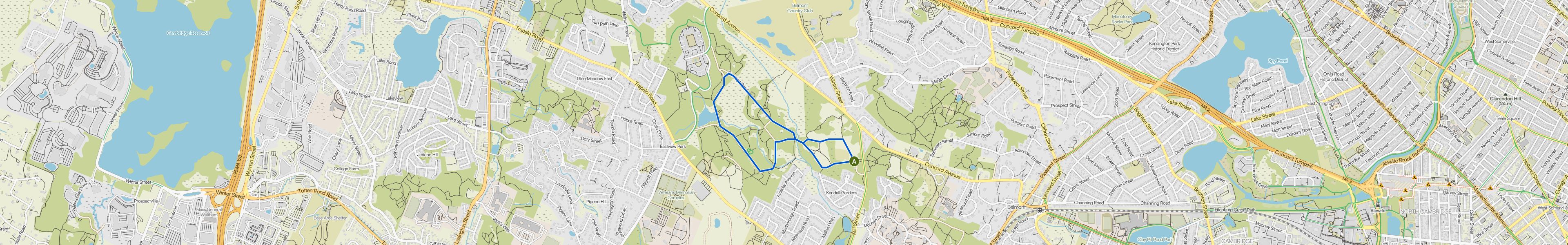 map_image_toggle