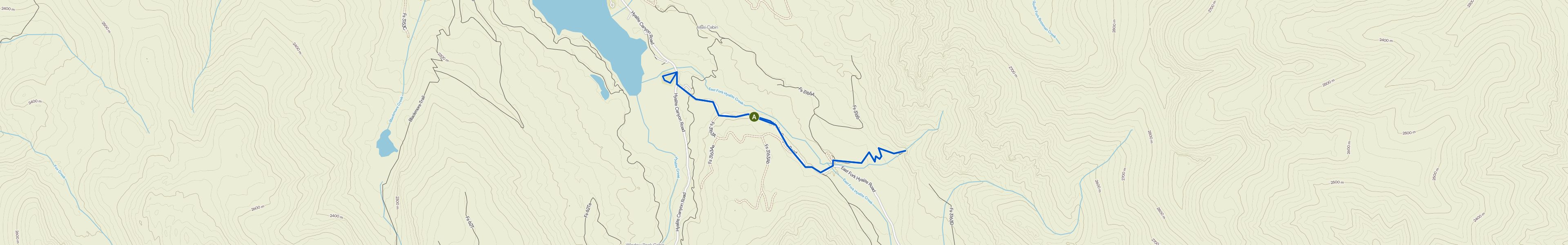 map_image_toggle