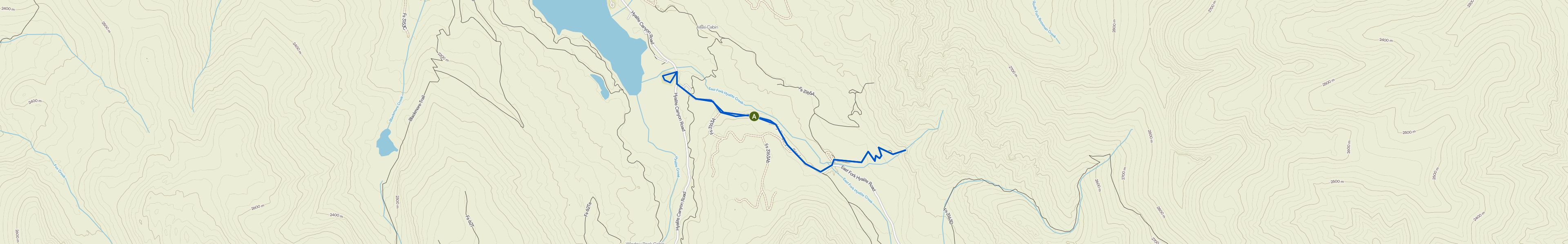 map_image_toggle