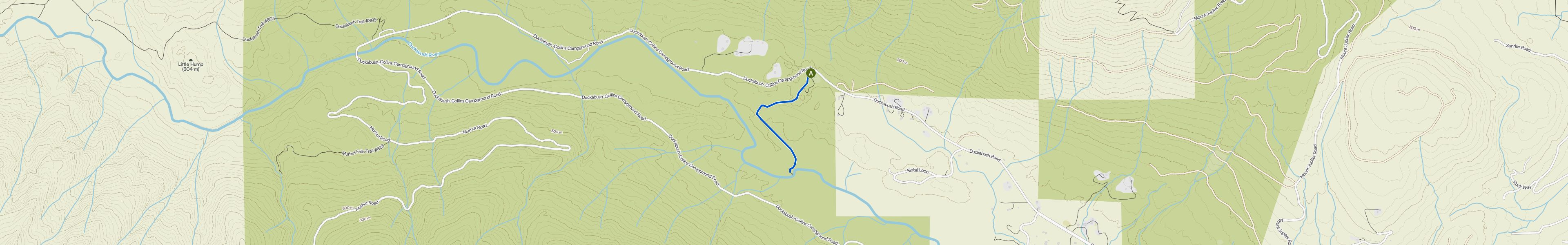 map_image_toggle