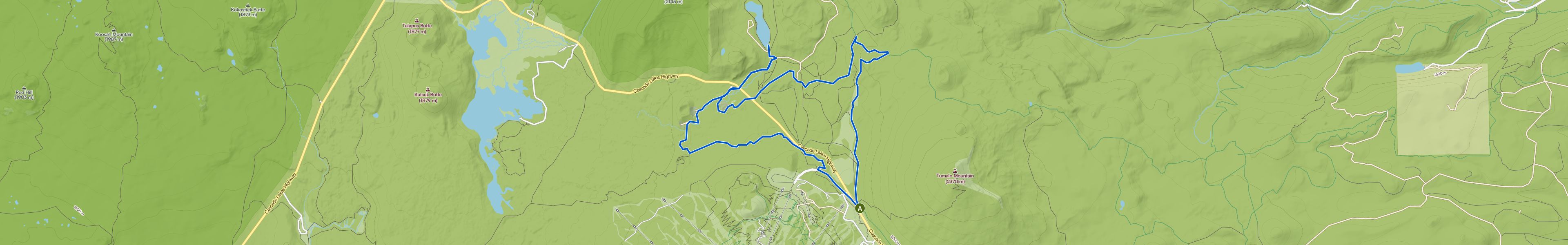 map_image_toggle
