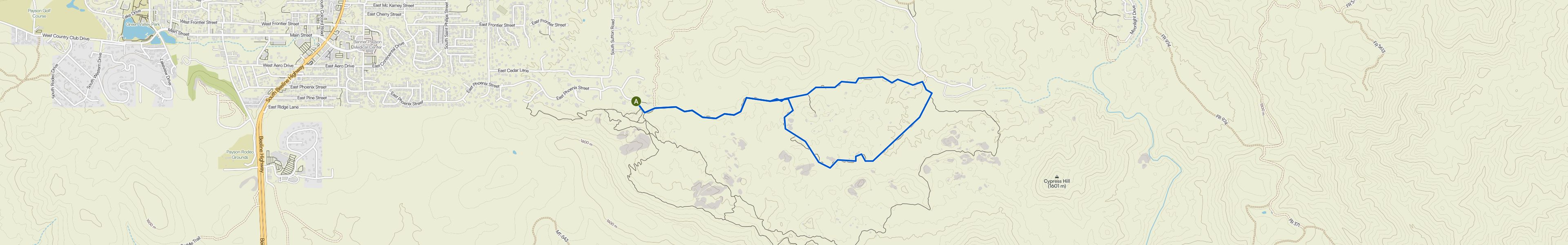 map_image_toggle