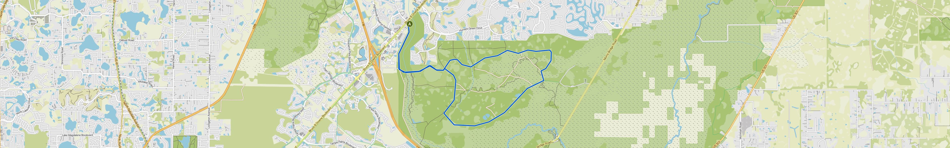 map_image_toggle