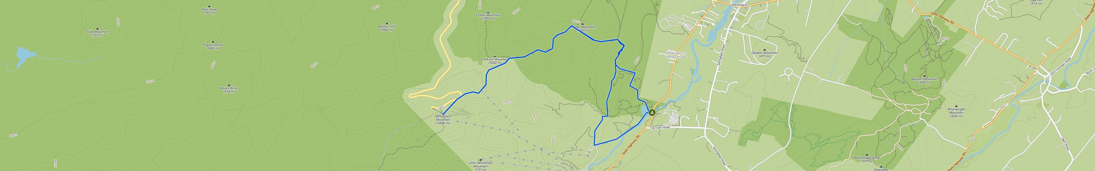 map_image_toggle