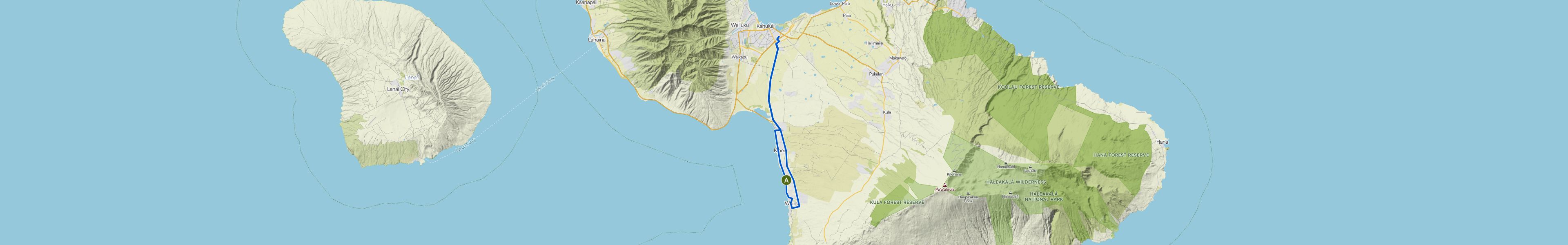 map_image_toggle