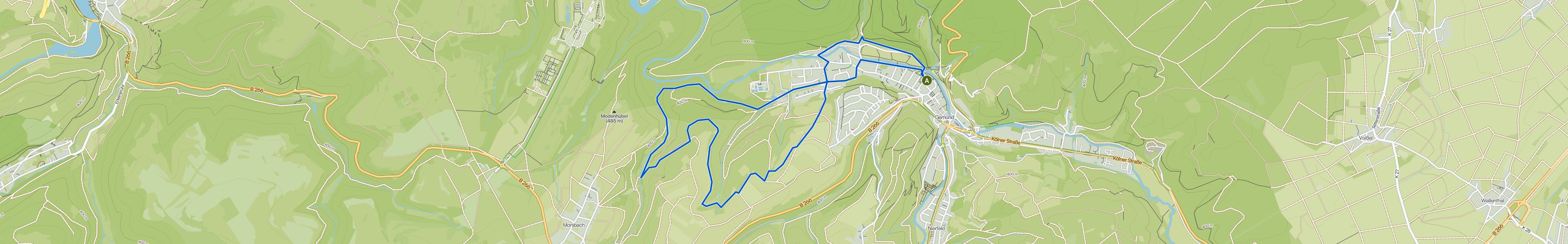 map_image_toggle