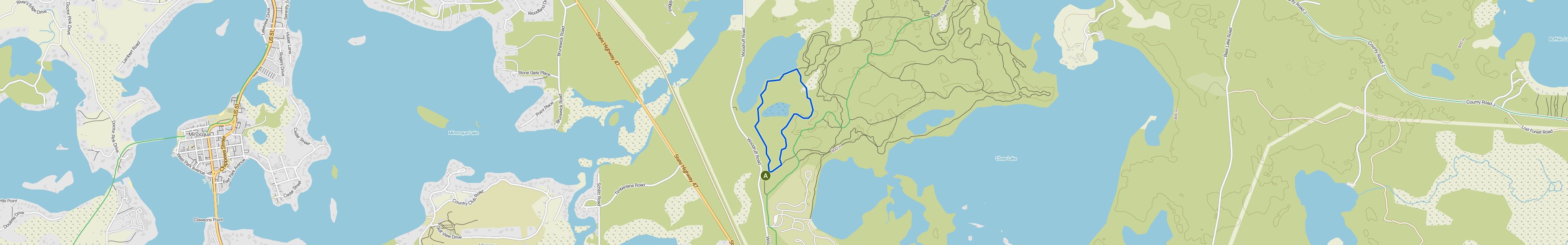 map_image_toggle