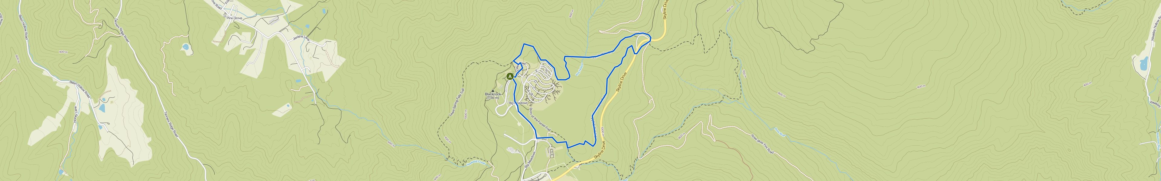 map_image_toggle