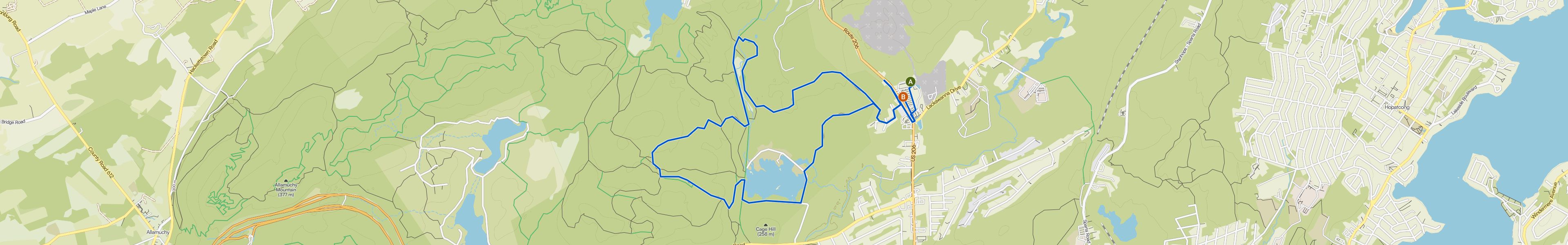 map_image_toggle
