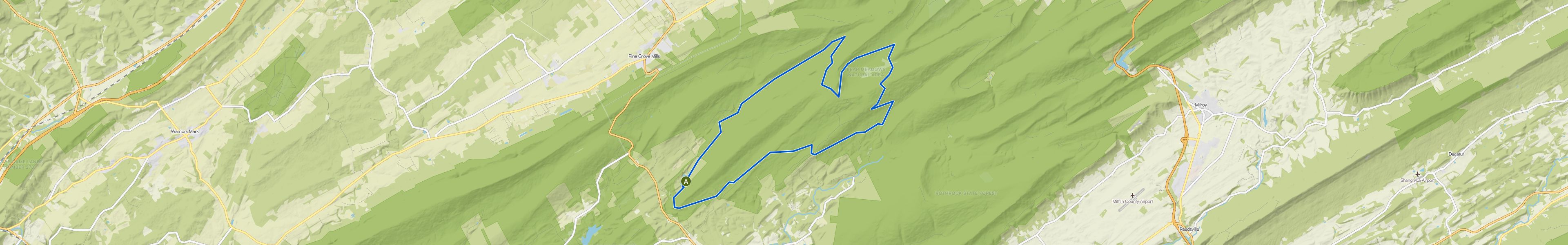 map_image_toggle
