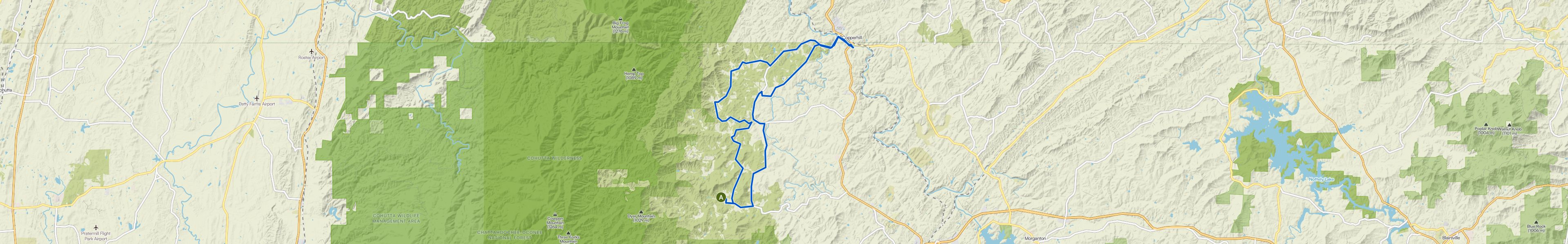 map_image_toggle