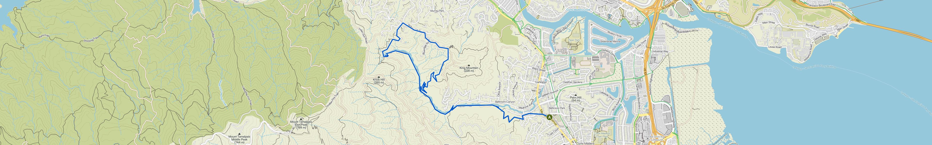 map_image_toggle