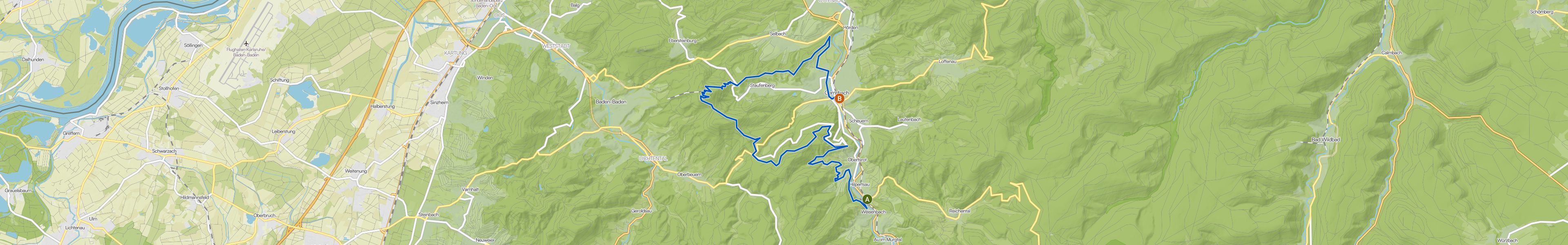 map_image_toggle