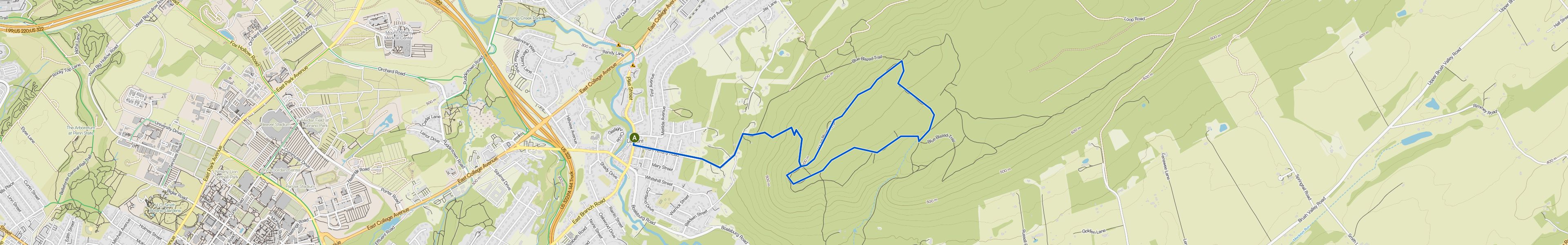 map_image_toggle