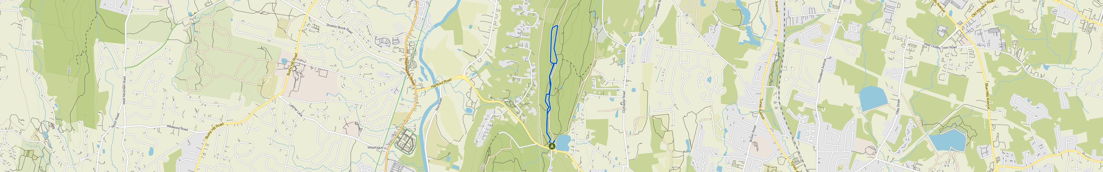 map_image_toggle