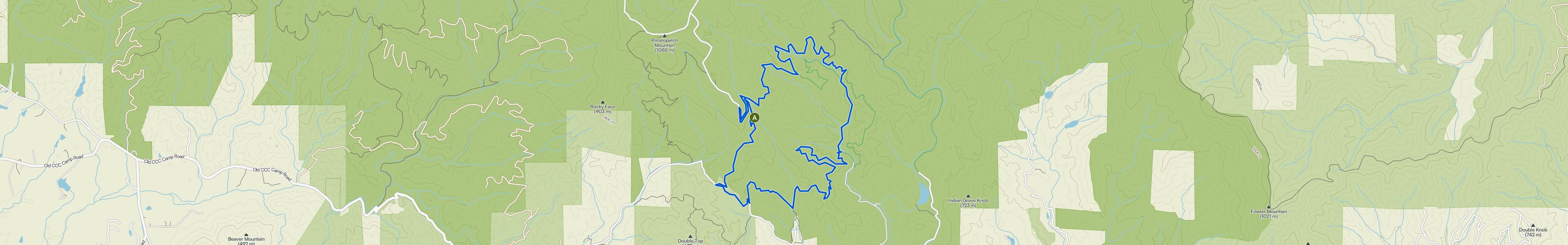 map_image_toggle