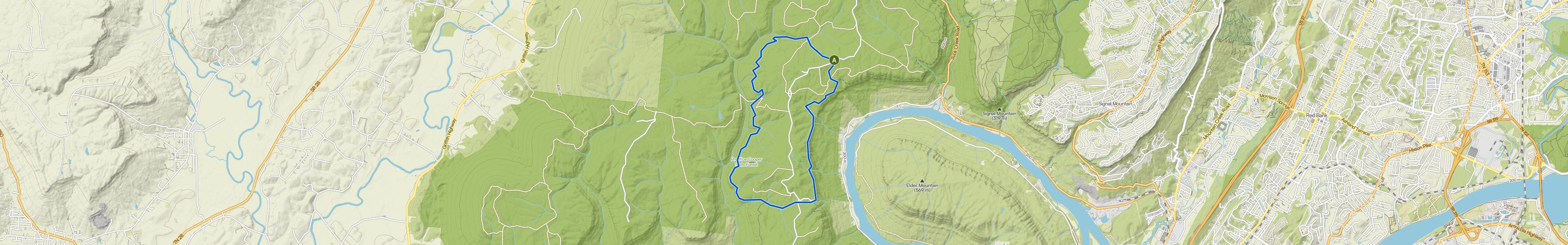 map_image_toggle