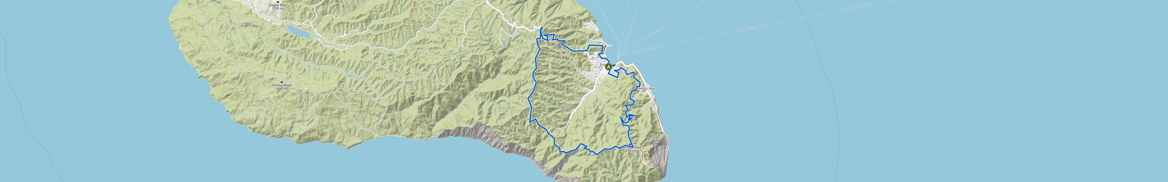 map_image_toggle