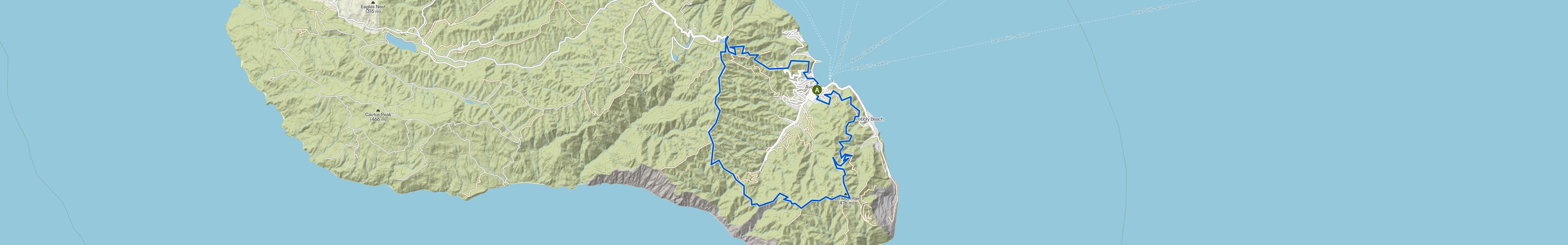 map_image_toggle