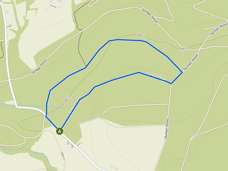 Gurteen Wood — short loop | hike | Komoot