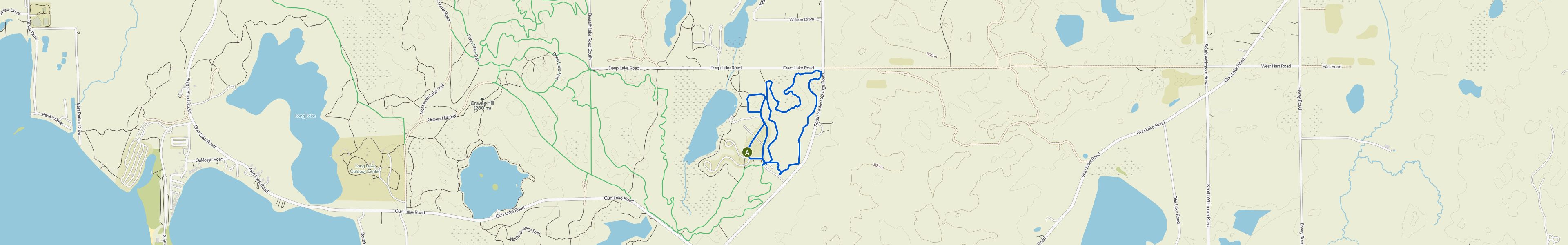 map_image_toggle