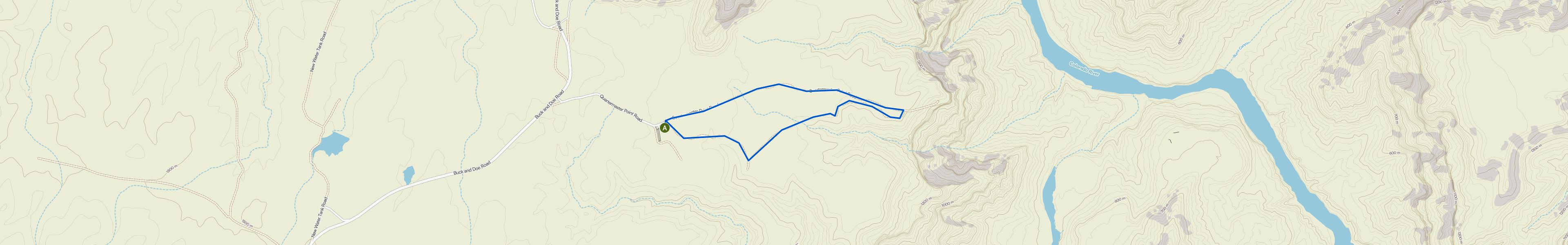 map_image_toggle