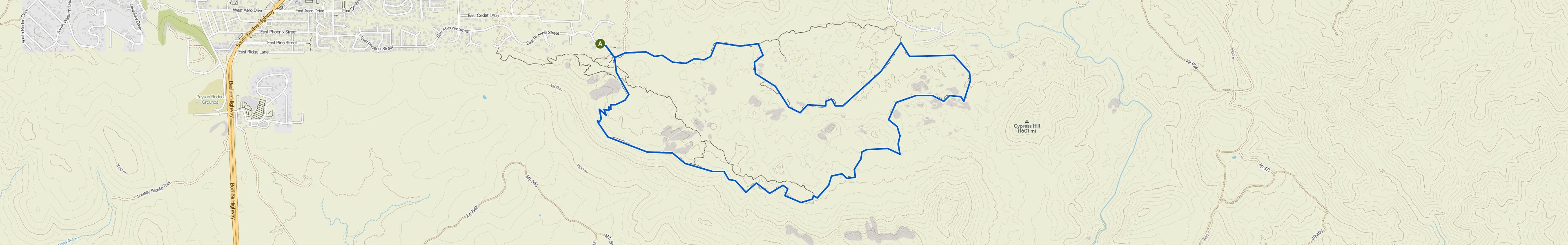 map_image_toggle