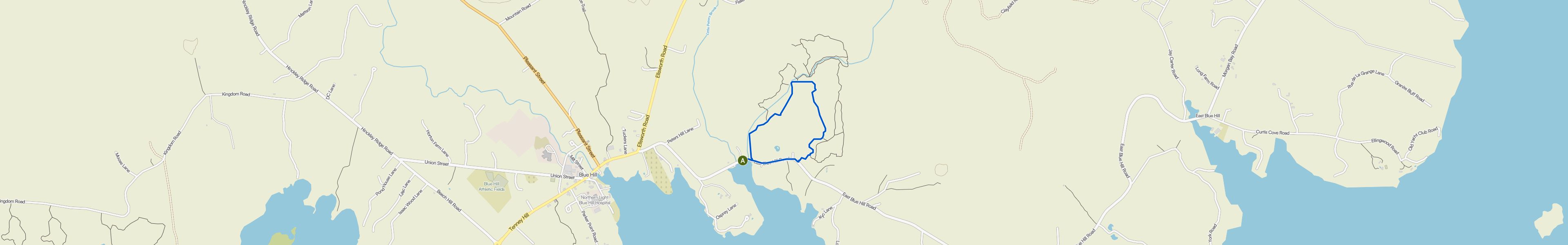 map_image_toggle