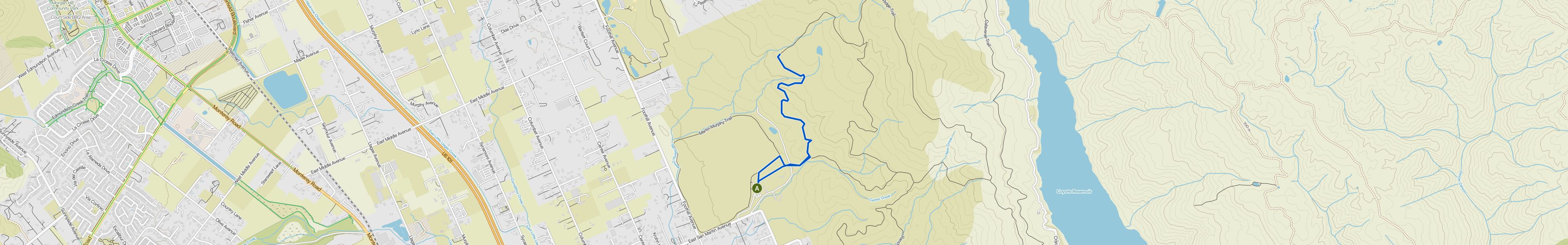 map_image_toggle