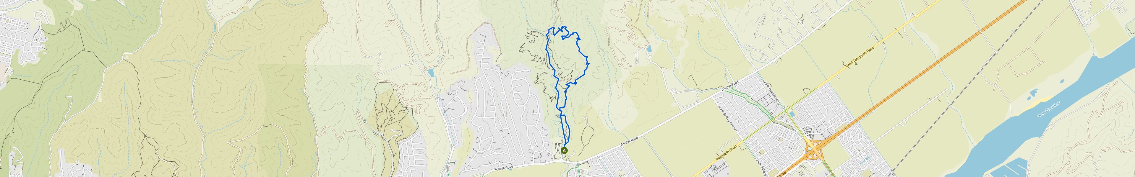 map_image_toggle