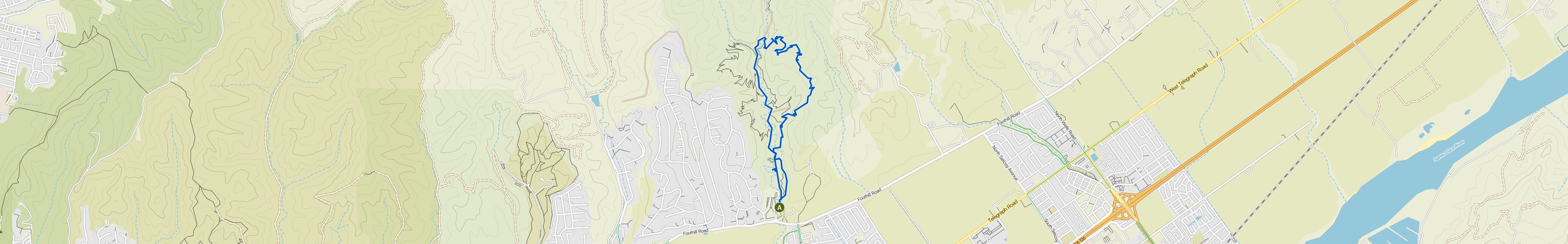 map_image_toggle