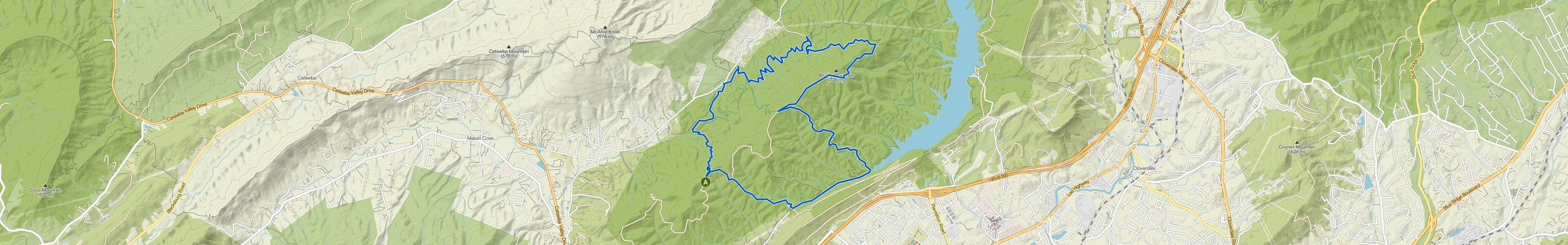 map_image_toggle