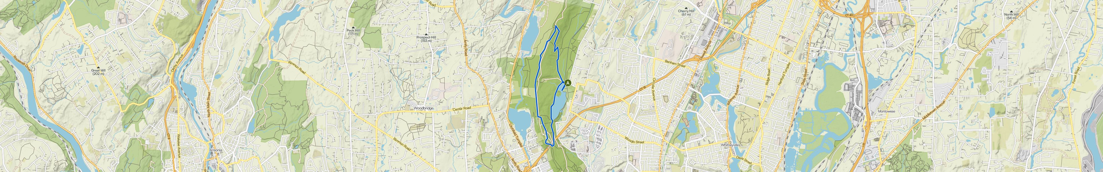 map_image_toggle
