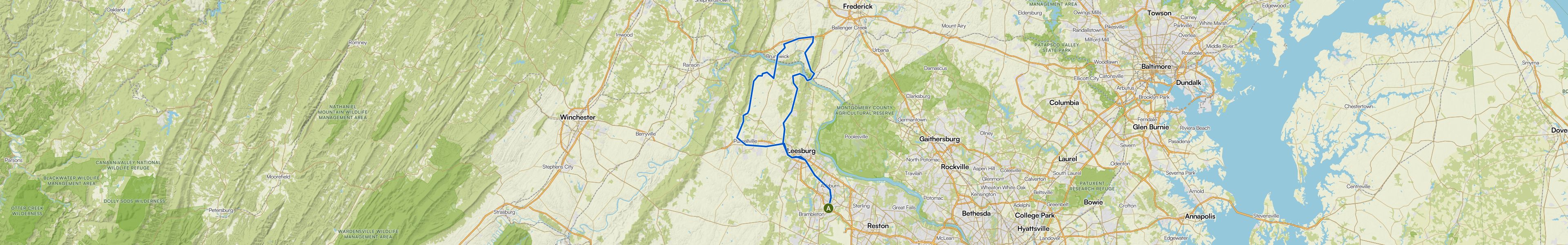 map_image_toggle