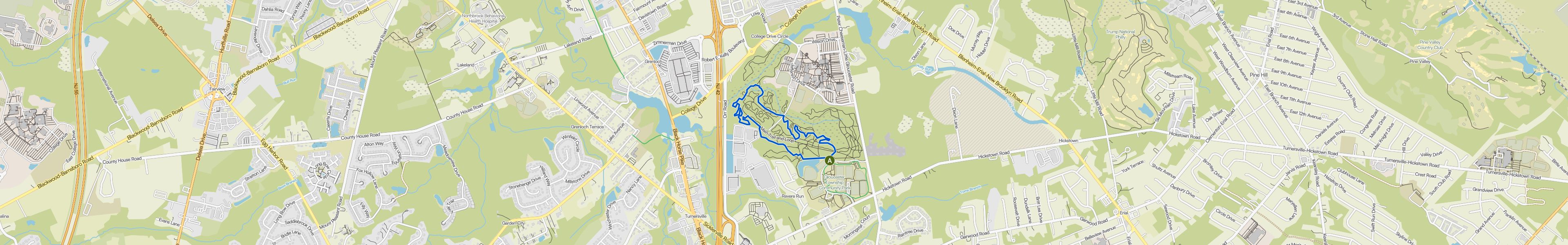 map_image_toggle