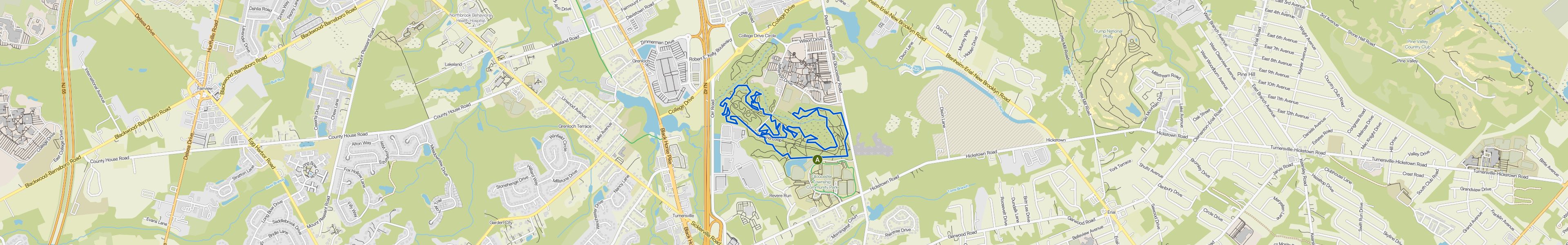 map_image_toggle