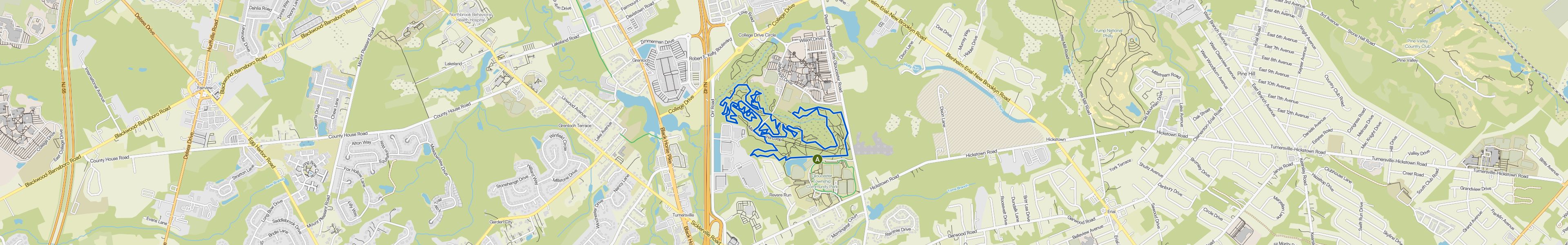 map_image_toggle