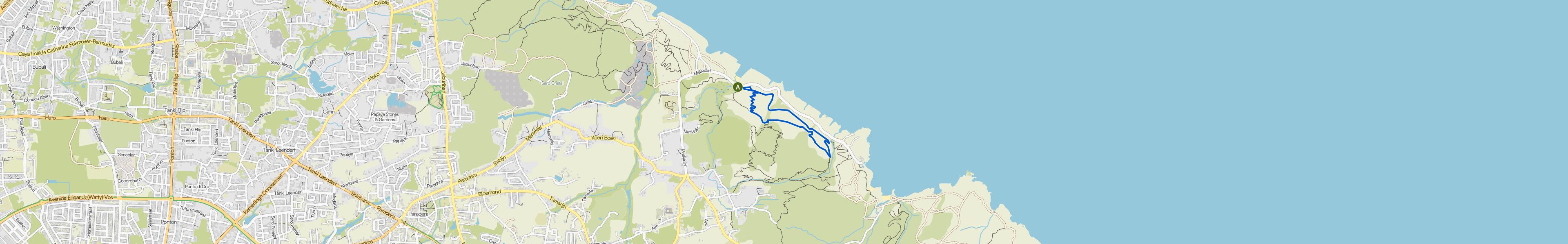 map_image