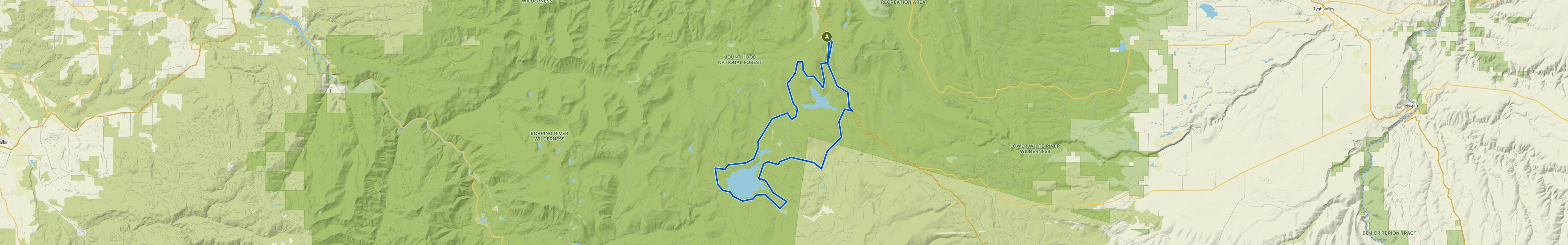 map_image_toggle