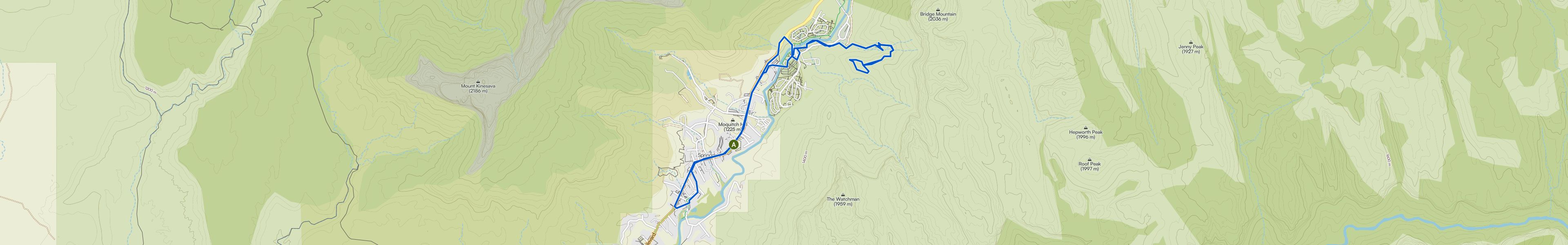 map_image_toggle