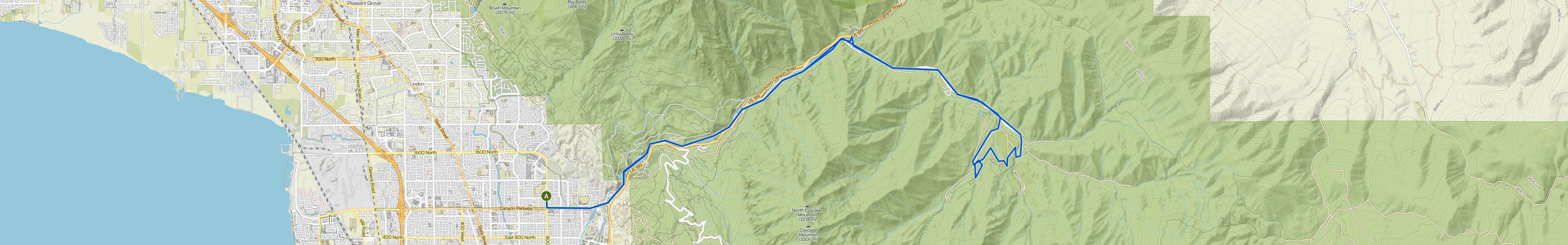 map_image_toggle
