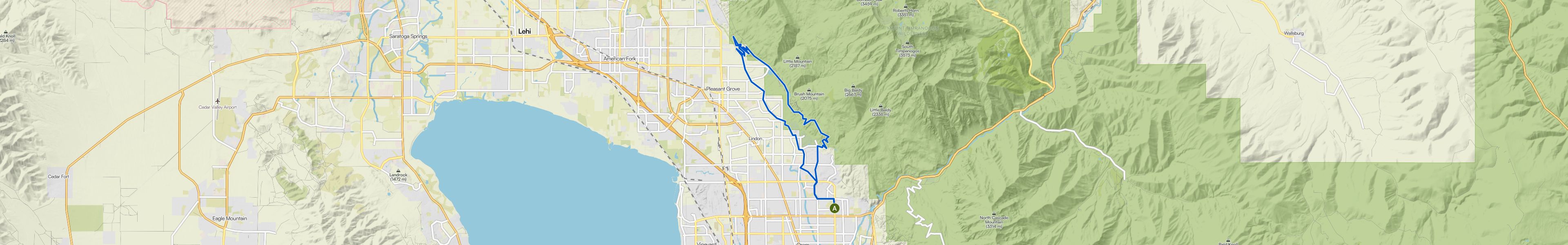 map_image_toggle