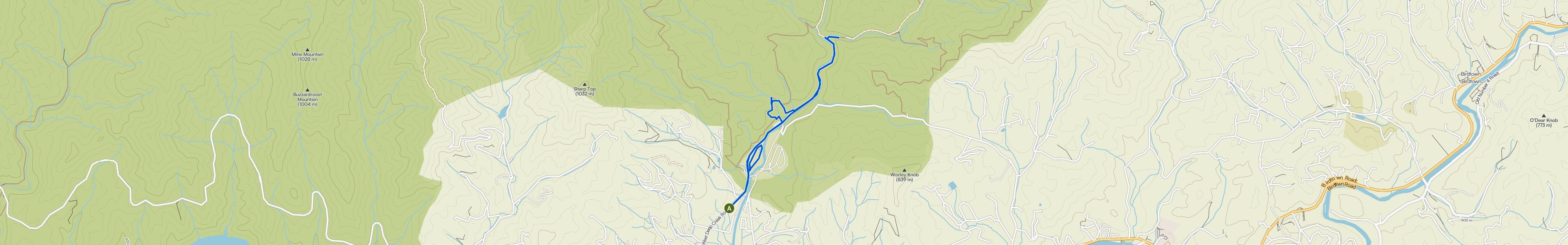 map_image_toggle