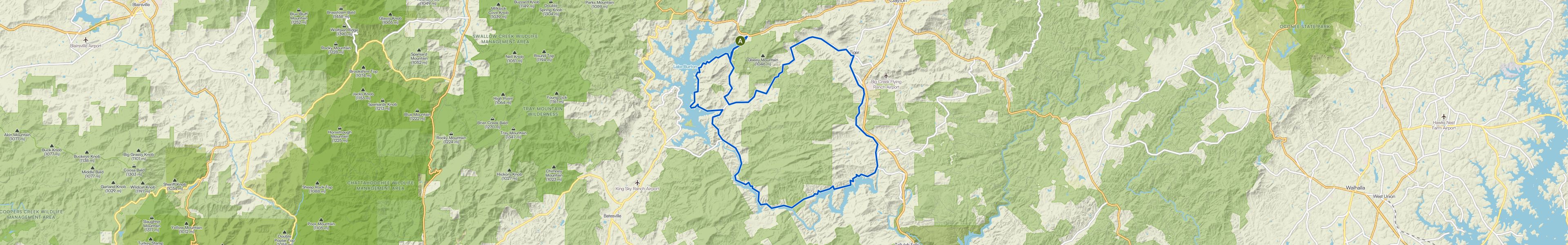 map_image_toggle