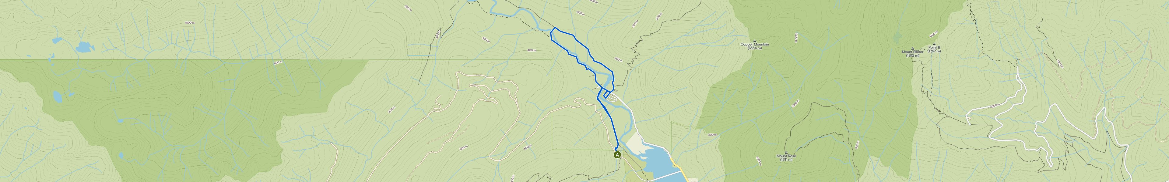 map_image_toggle