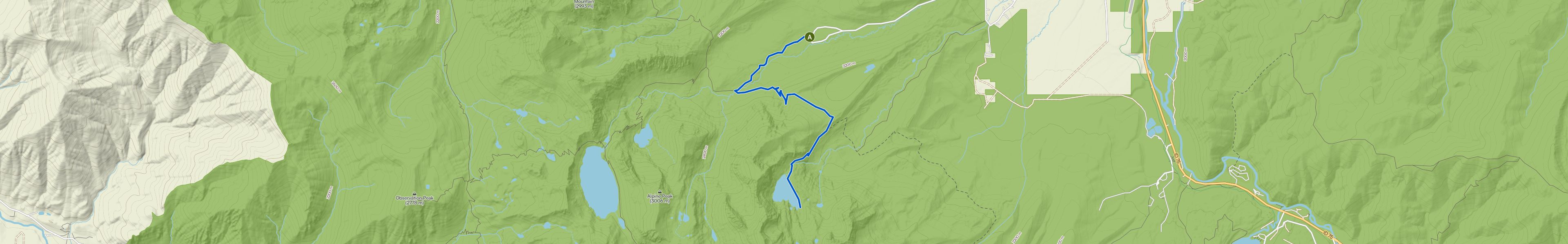 map_image_toggle