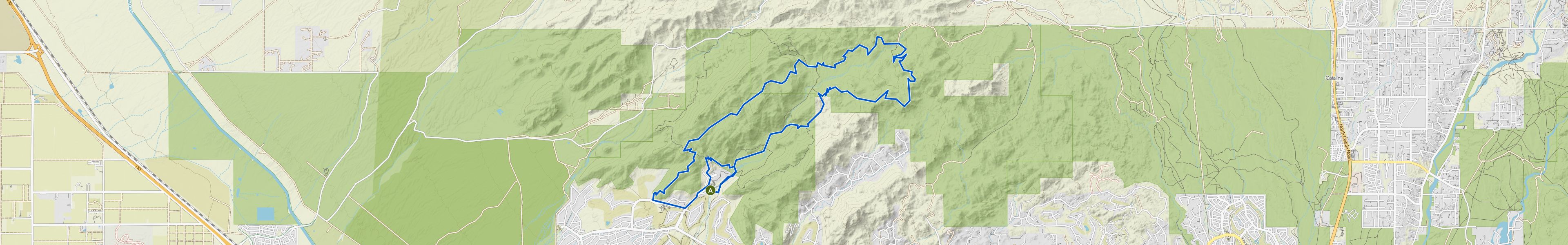 map_image_toggle