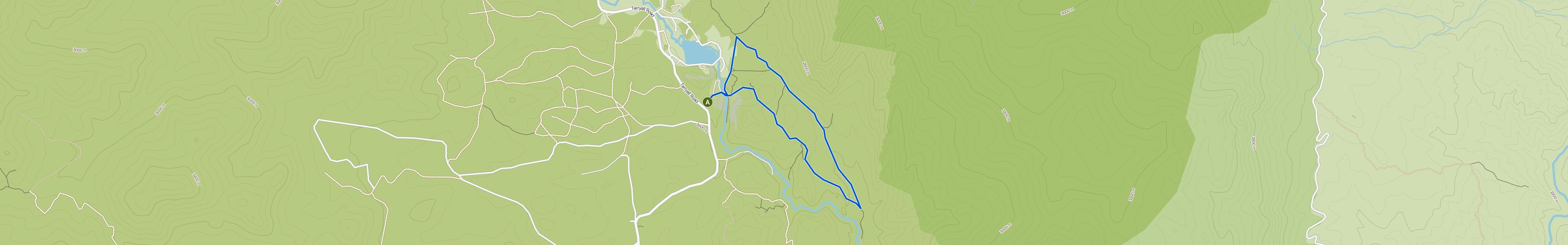 map_image_toggle