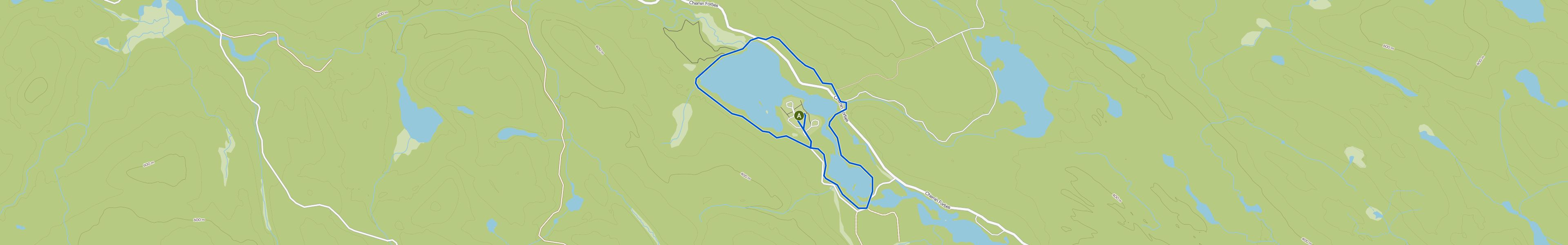 map_image_toggle