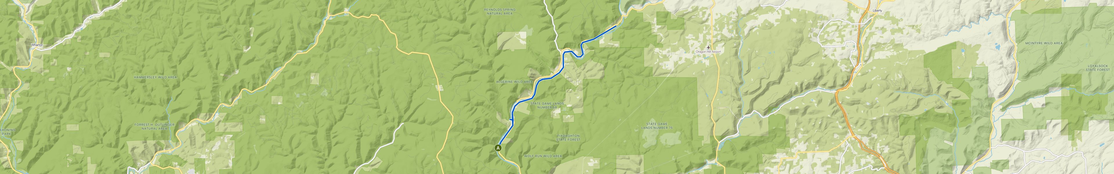 map_image_toggle